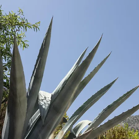 Casa de hóspedes Petritis