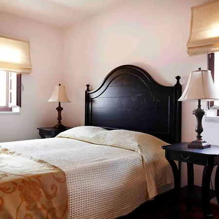 Petritis 4*