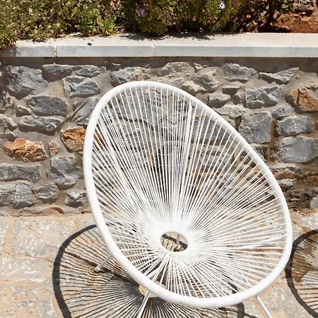 Petritis Oitilon