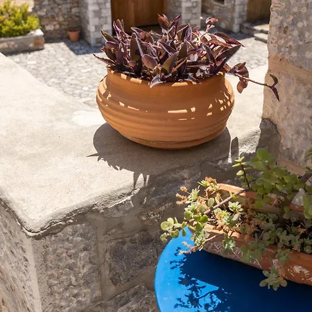 Petritis Vendégház 4*