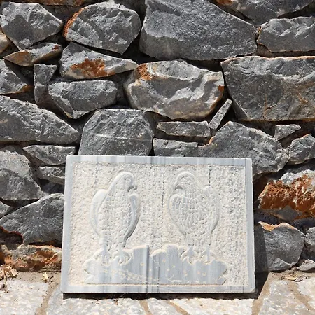 게스트하우스 Petritis 4*