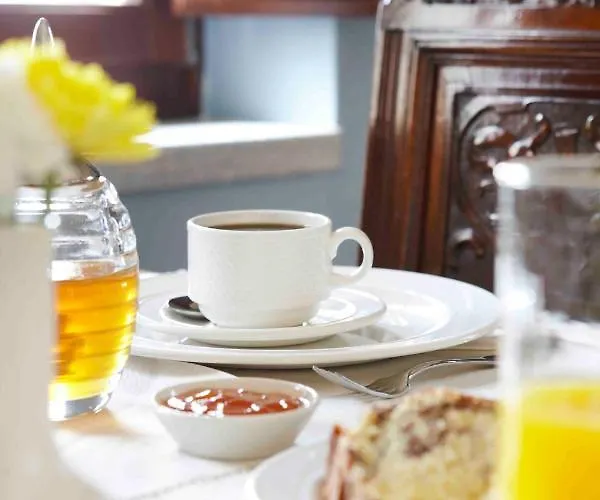 Πανσιόν πετρίτης Οίτυλο