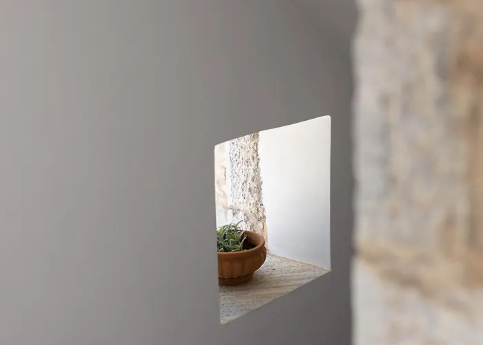 Πανσιόν πετρίτης