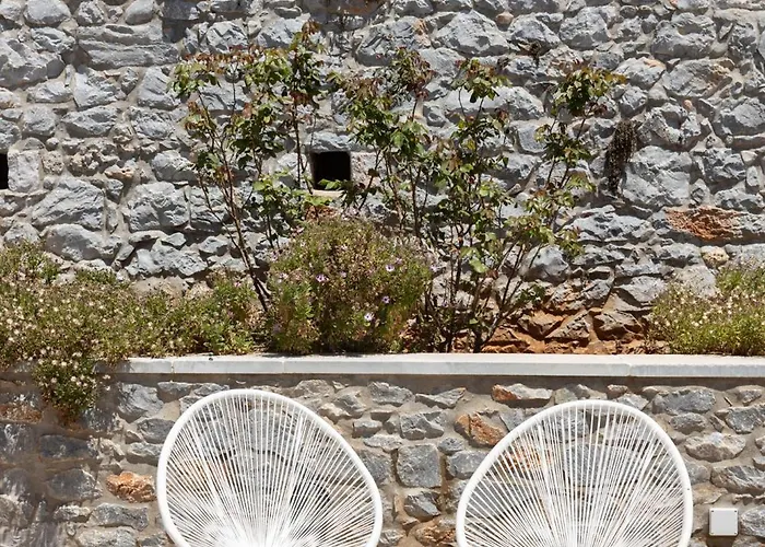 Πανσιόν πετρίτης