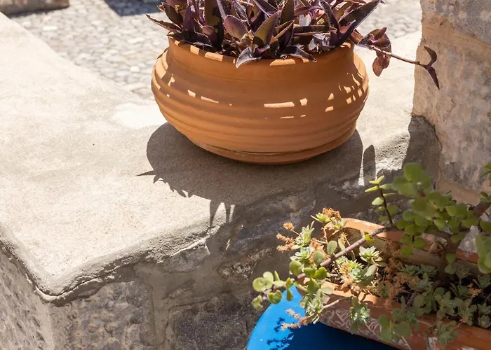 πετρίτης Πανσιόν 4*