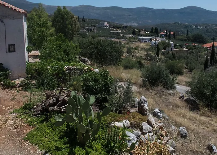 πετρίτης 4* Οίτυλο