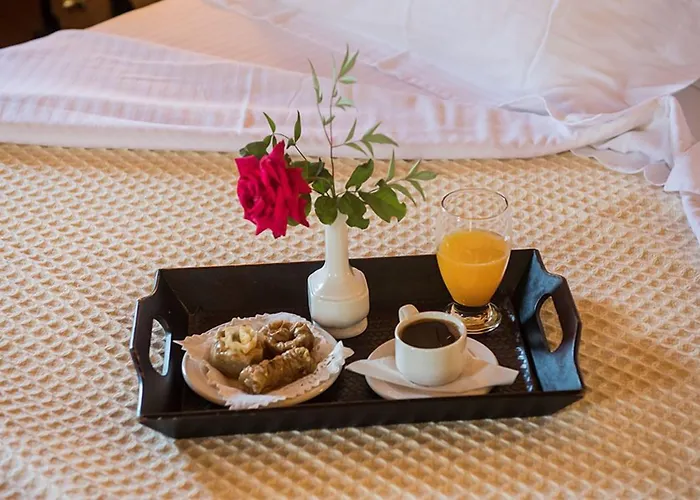 Πανσιόν πετρίτης Οίτυλο